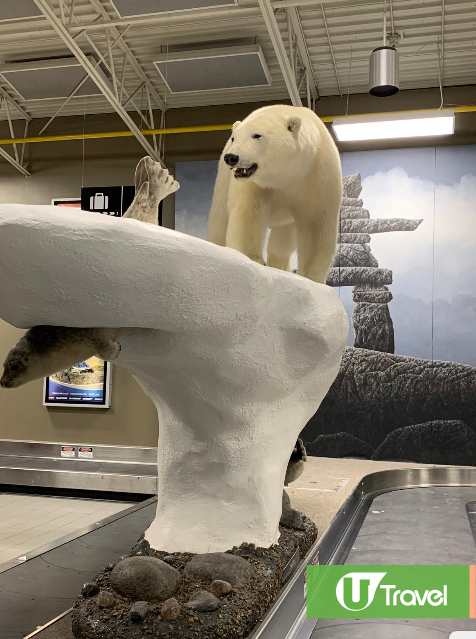 黃刀鎮極光(韋珈萱 攝) 黃刀鎮極光(韋珈萱 攝)