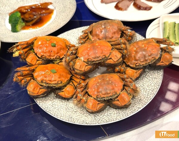 低至$348！尖沙咀120分鐘任食大閘蟹+片皮鴨放題 無限追加蟹粉小籠包/蟹粉拌麵