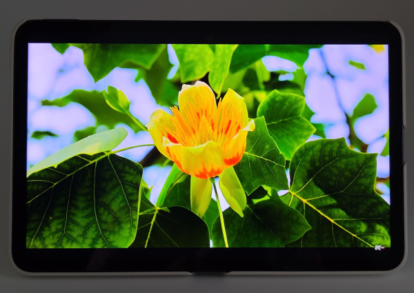 小米 Pad Mini 深度評測！迷你尺寸、旗艦規格！挑戰 iPad mini 7 地位！