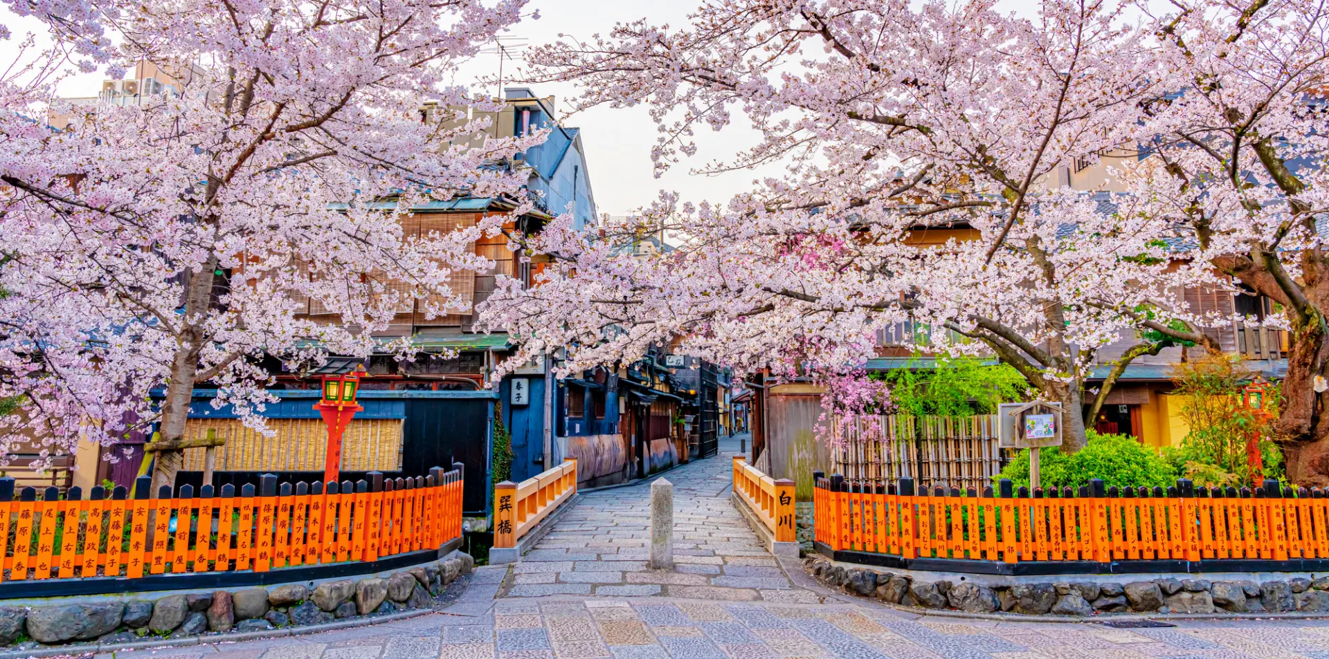 去日本做錯1件事罰15萬?日本旅遊禁忌4大破財陷阱 帶呢樣入境隨時坐監!