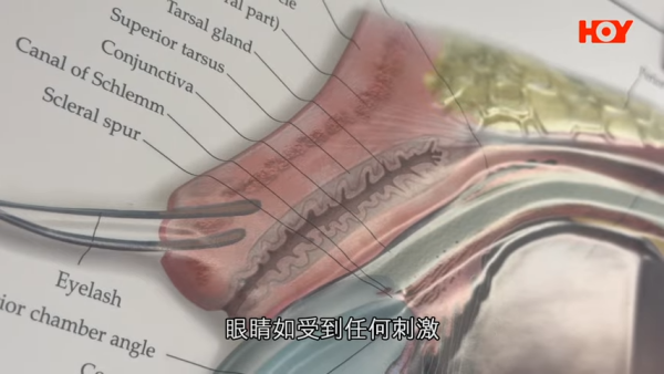 一線搜查｜內地「銀珠洗眼」爆紅！聲稱可助眠、去疲勞？醫生揭3大嚴重風險恐影響視力