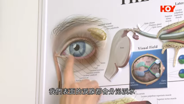 一線搜查｜內地「銀珠洗眼」爆紅！聲稱可助眠、去疲勞？醫生揭3大嚴重風險恐影響視力