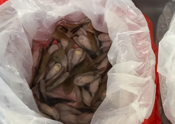 照片來源：微博