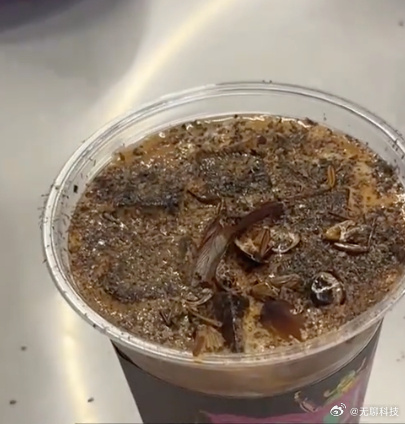 慎入！內地爆紅「昆蟲曱甴咖啡」爬滿蟲屍 網民見大麥蟲特飲反胃：仇人先飲 