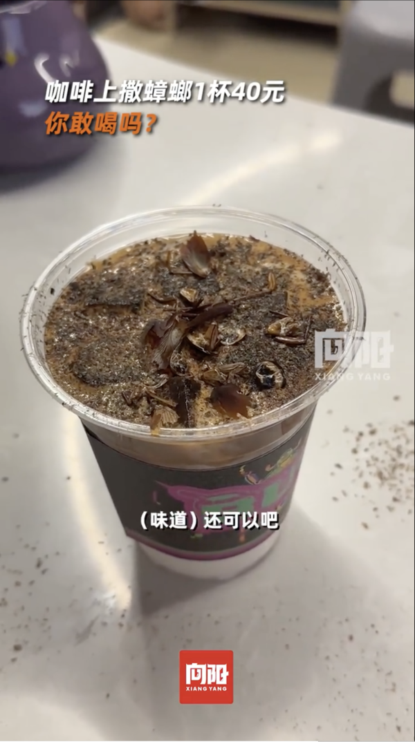 慎入！內地爆紅「昆蟲曱甴咖啡」爬滿蟲屍 網民見大麥蟲特飲反胃：仇人先飲 