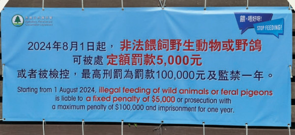 內地女遊港做錯1事即罰5000！當場崩潰大呻：家鄉明明無問題 