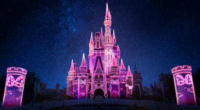 照片來源:官方網站 照片來源:官方網站