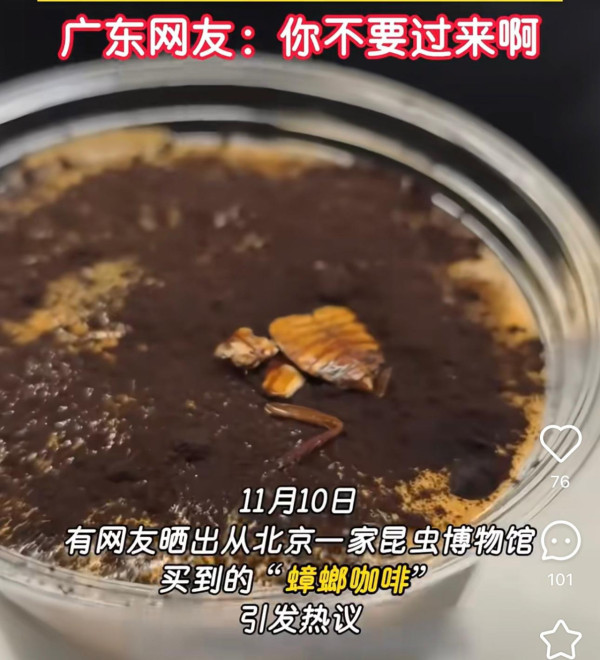 慎入！內地爆紅「昆蟲曱甴咖啡」爬滿蟲屍 網民見大麥蟲特飲反胃：仇人先飲 