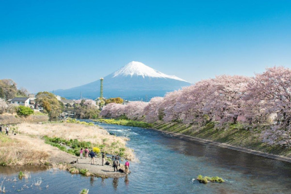 影富士山不止河口湖Lawson!3大「零路人」絕景公開 田貫湖雙鑽石/天鵝湖
