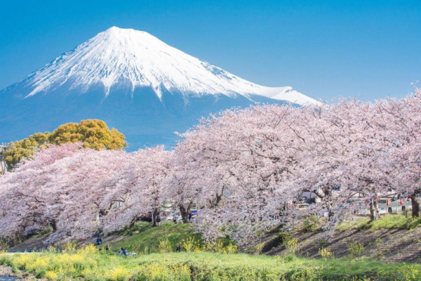 影富士山不止河口湖Lawson!3大「零路人」絕景公開 田貫湖雙鑽石/天鵝湖