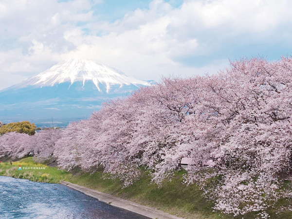 影富士山不止河口湖Lawson!3大「零路人」絕景公開 田貫湖雙鑽石/天鵝湖