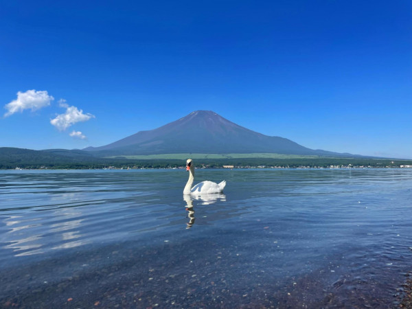 影富士山不止河口湖Lawson!3大「零路人」絕景公開 田貫湖雙鑽石/天鵝湖