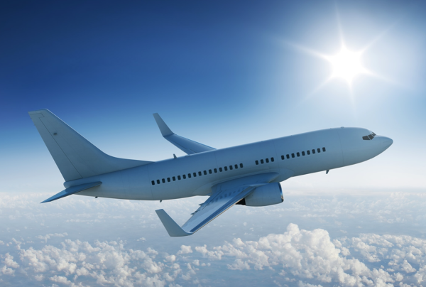 照片來源：網上圖片 