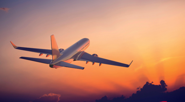 照片來源：網上圖片 