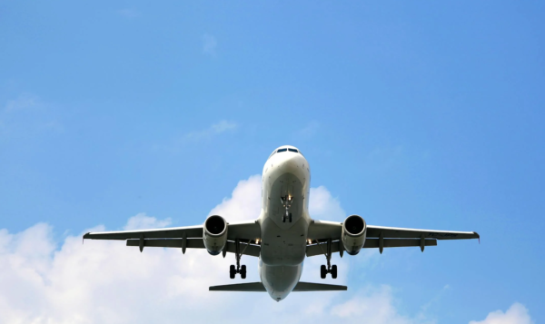 照片來源：網上圖片 