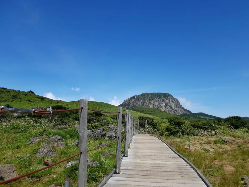 內地客轉攻韓國！濟州漢拏山驚見「路邊開大」一地排泄物 韓媒列3大劣行 