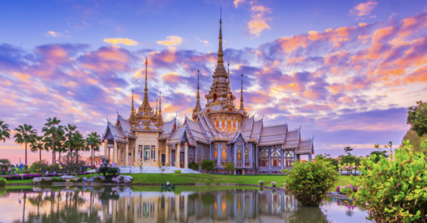 照片來源：網上圖片 