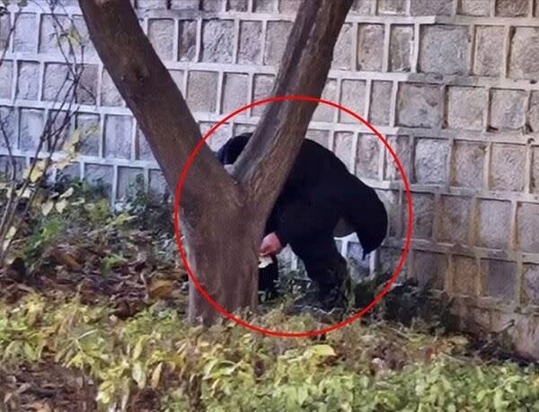 內地客轉攻韓國！濟州漢拏山驚見「路邊開大」一地排泄物 韓媒列3大劣行 