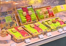 照片來源：網上圖片 