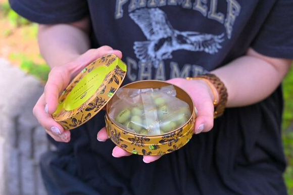 照片來源：網上圖片 