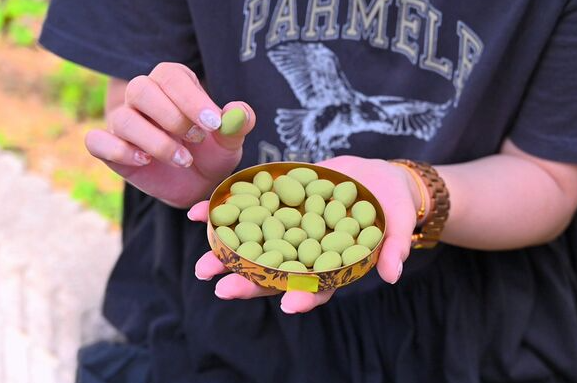 照片來源：網上圖片 