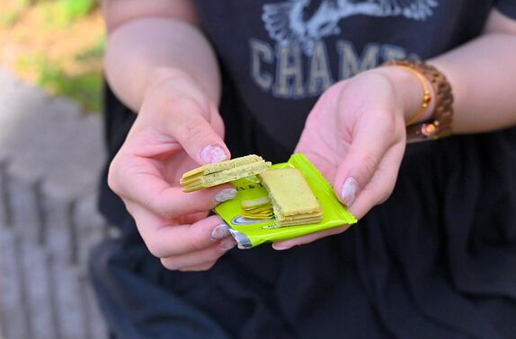 照片來源：網上圖片 