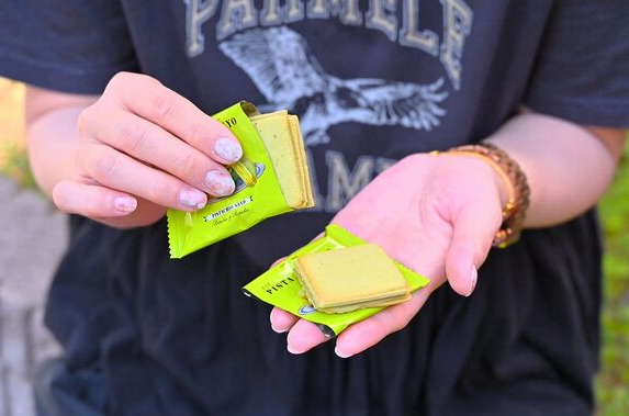 照片來源：網上圖片 