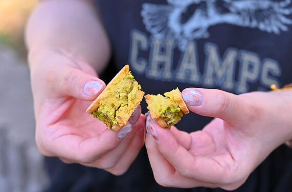 照片來源：網上圖片 