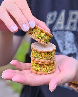 照片來源：網上圖片 