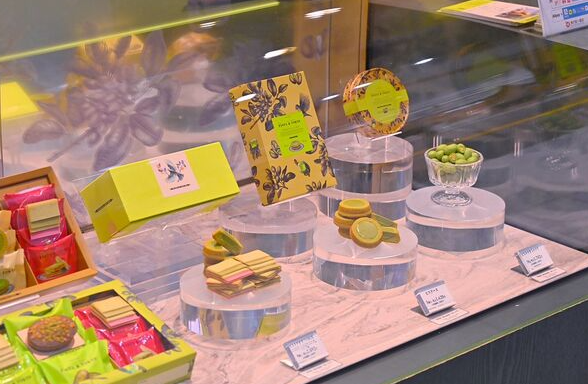 照片來源：網上圖片 