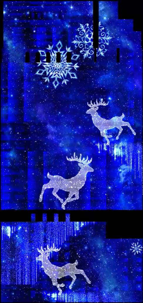 （圖片由主辦單位提供）