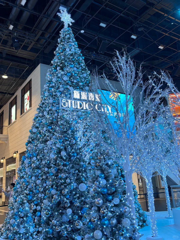 新濠影匯。圖片來源：小紅書@丸子大叔