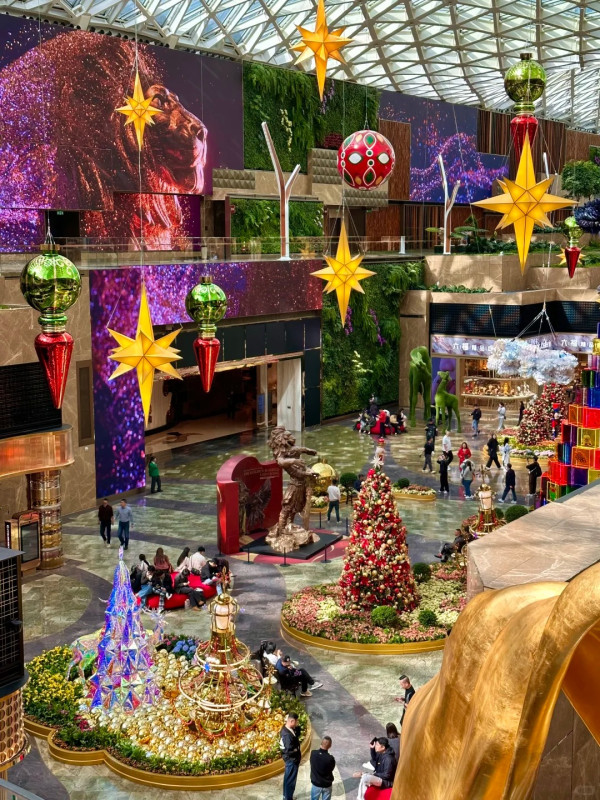 美獅美高梅。圖片來源：小紅書@肉丸饱饱