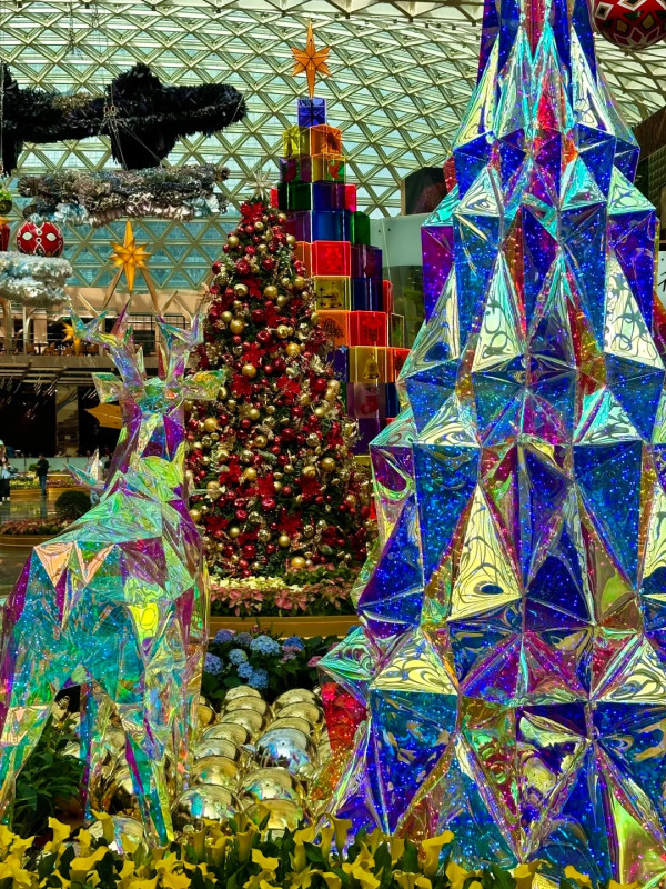 美獅美高梅。圖片來源：小紅書@肉丸饱饱