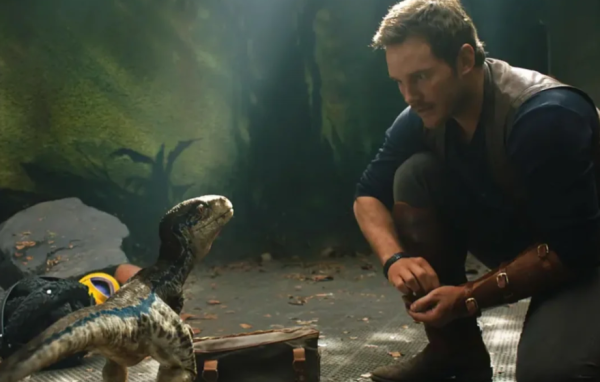 照片來源:小紅書 照片來源:小紅書