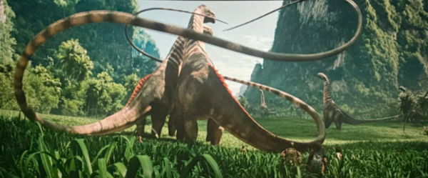 照片來源:小紅書 照片來源:小紅書