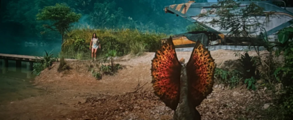 照片來源:小紅書 照片來源:小紅書