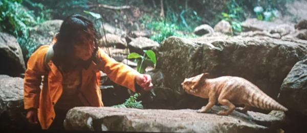 照片來源:小紅書 照片來源:小紅書