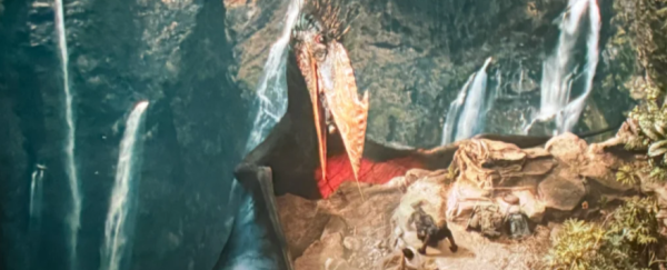 照片來源:小紅書 照片來源:小紅書