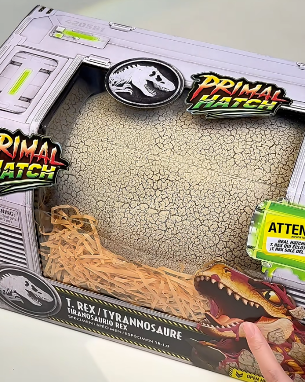 照片來源:小紅書 照片來源:小紅書