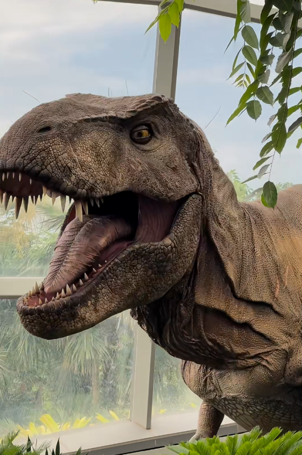 照片來源:小紅書 照片來源:小紅書