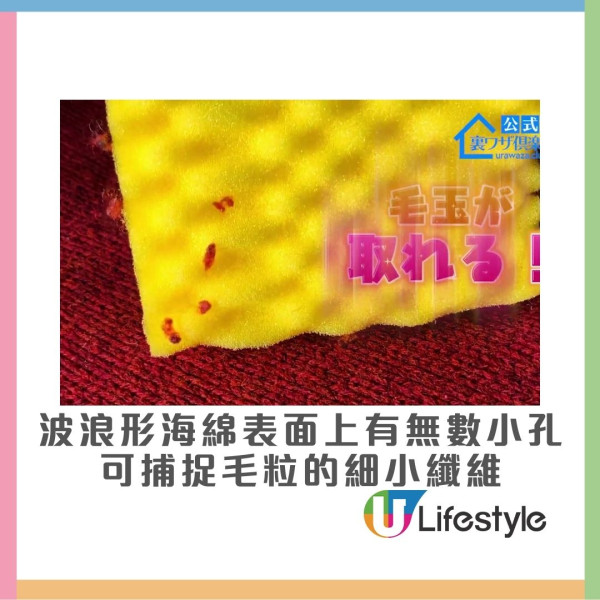 毛衣冷衫保養︱專家教用1物還原縮水毛衣 $10神器解決毛衣起粒困擾！附換季收納不變形技巧