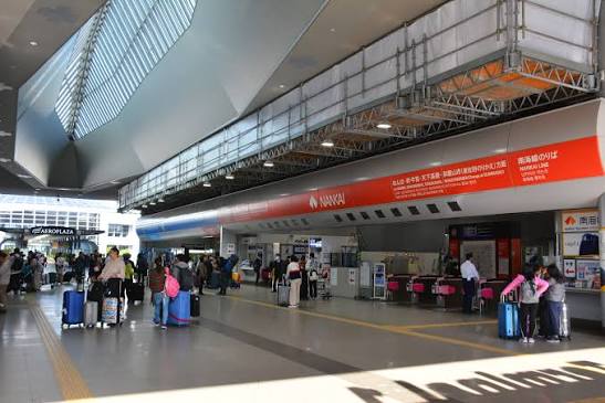 大阪關西機場墮樓悲劇 20多歲中國遊客偕母同遊不幸身亡