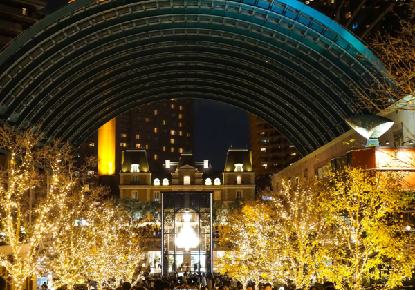 照片來源：網上圖片 