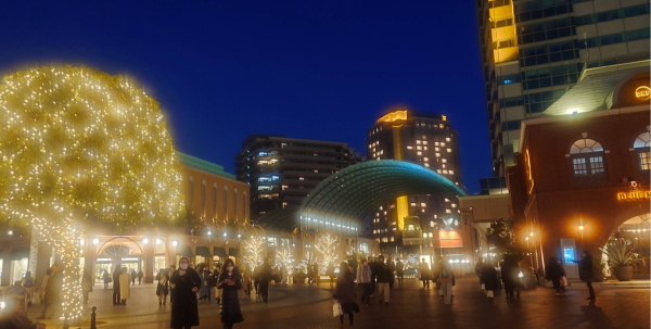 照片來源：網上圖片 