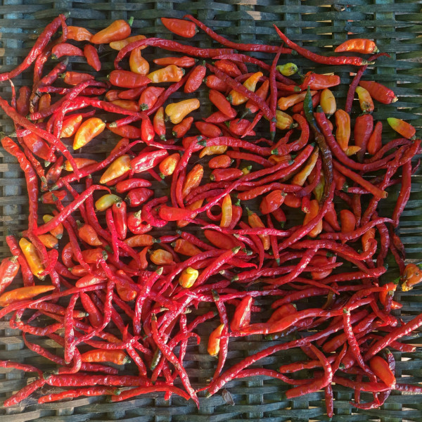 過期唔等於壞！官方證實9種食材「無限期保存」：蜂蜜/白米放10年都食得