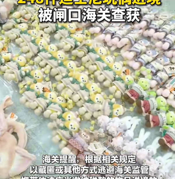 照片來源：小紅書