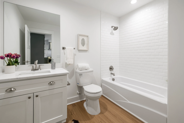 床蝨易入屋小心這款喼!日本5星酒店都中招!入房黃金5分鐘做齊4步防蝨