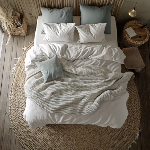 床蝨易入屋小心這款喼!日本5星酒店都中招!入房黃金5分鐘做齊4步防蝨