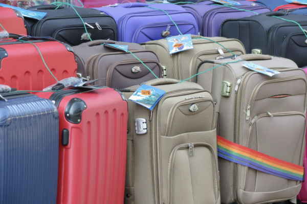 床蝨易入屋小心這款喼!日本5星酒店都中招!入房黃金5分鐘做齊4步防蝨